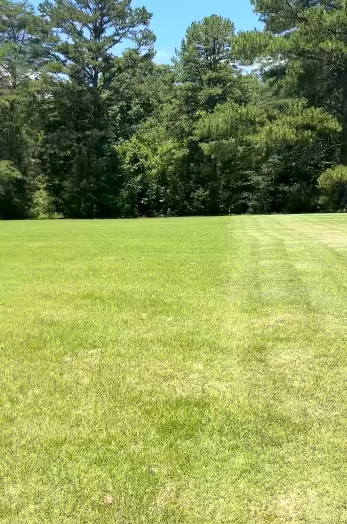 21552 Us 127 Dunlap TN 37327