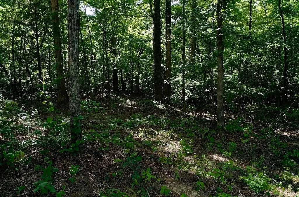 0 Jeanette Holladay Road Parsons TN 38363