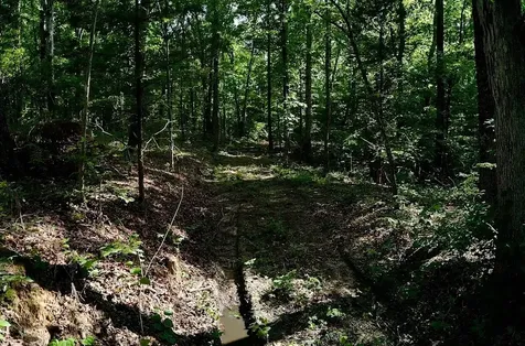 0 Jeanette Holladay Road Parsons TN 38363
