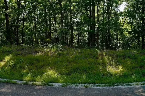 0 Jeanette Holladay Road Parsons TN 38363
