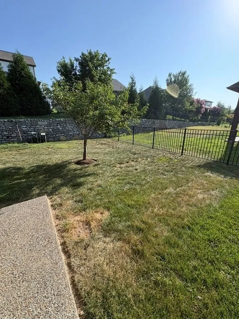 183 Dayflower Drive Hendersonville TN 37075