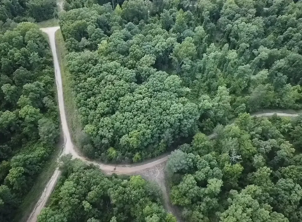 Saulsbury TN, 94 Beaver Lane