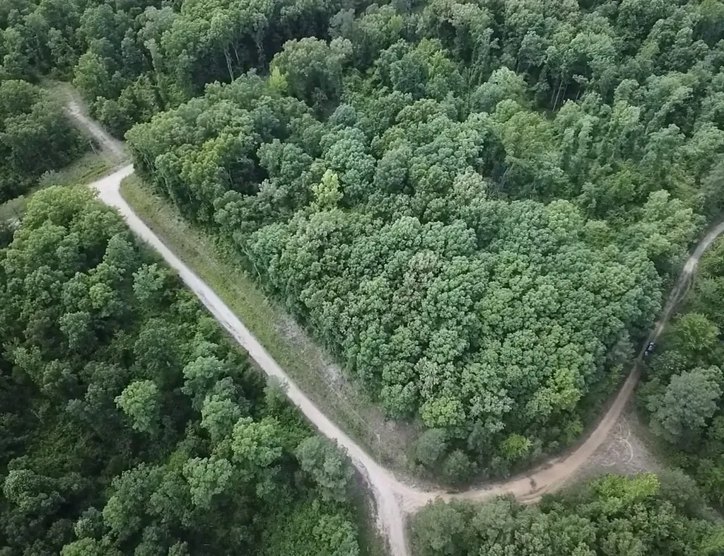 94 Beaver Lane Saulsbury TN 38067