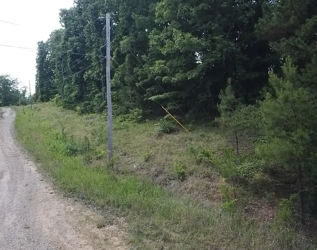94 Beaver Lane Saulsbury TN 38067