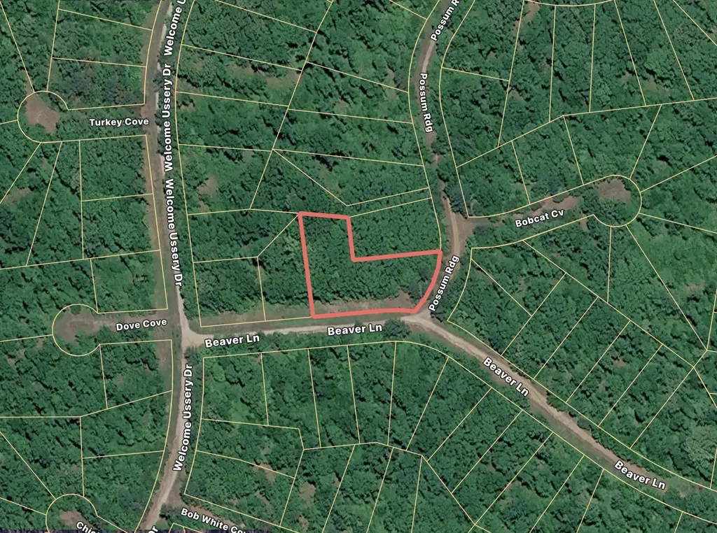 94 Beaver Lane Saulsbury TN 38067
