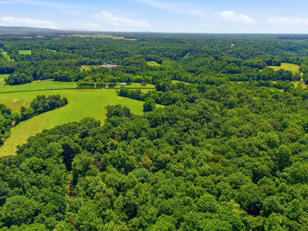 0 Mann Road Flintville TN 37335