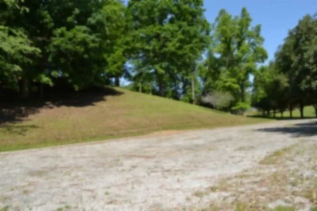 318 Rock Springs Road Celina TN 38551