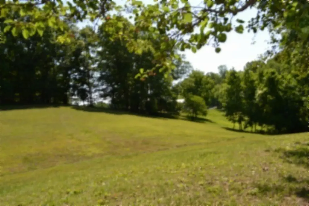 318 Rock Springs Road Celina TN 38551