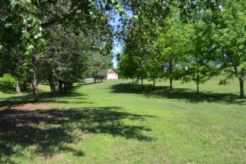 318 Rock Springs Road Celina TN 38551