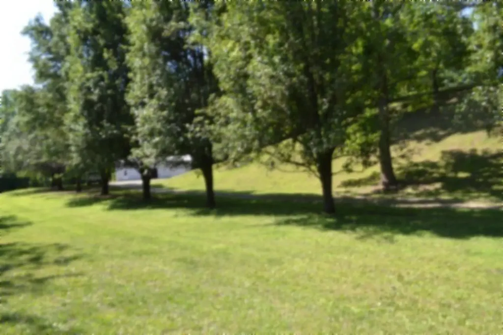 318 Rock Springs Road Celina TN 38551
