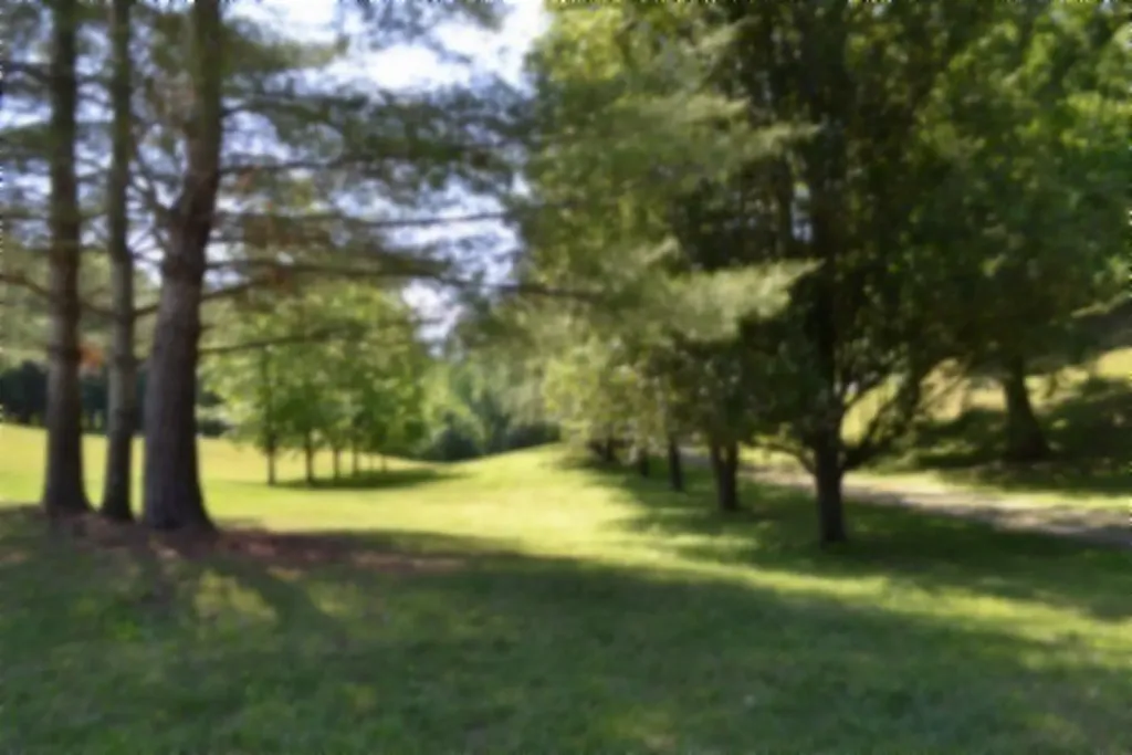318 Rock Springs Road Celina TN 38551