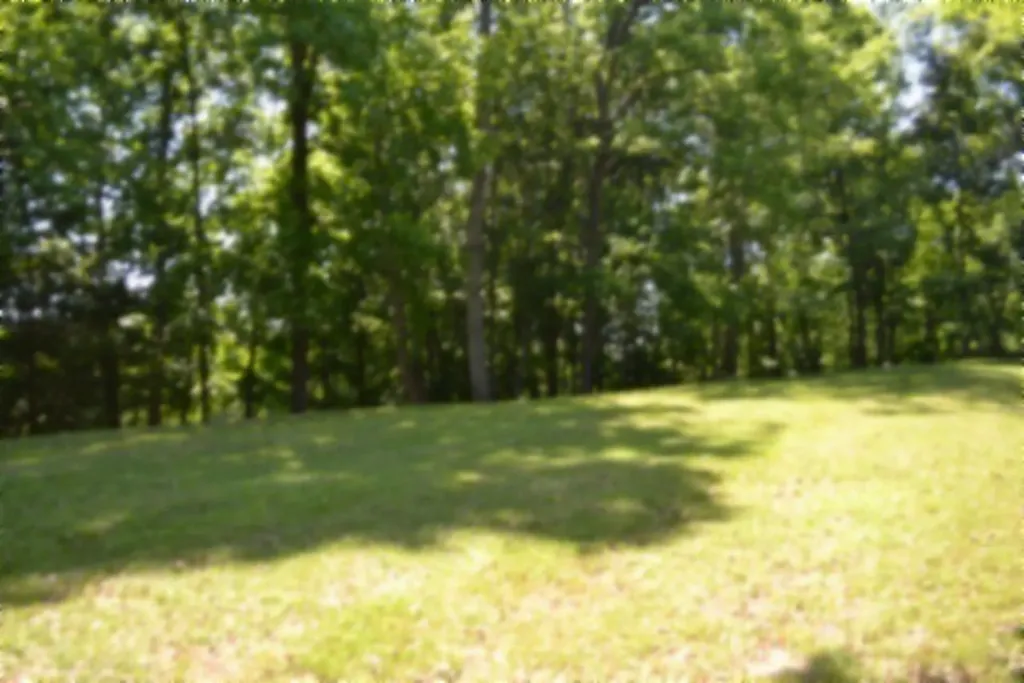 318 Rock Springs Road Celina TN 38551