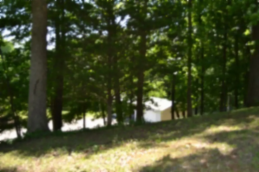 318 Rock Springs Road Celina TN 38551