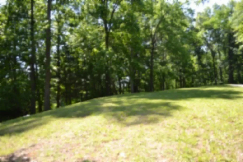 318 Rock Springs Road Celina TN 38551