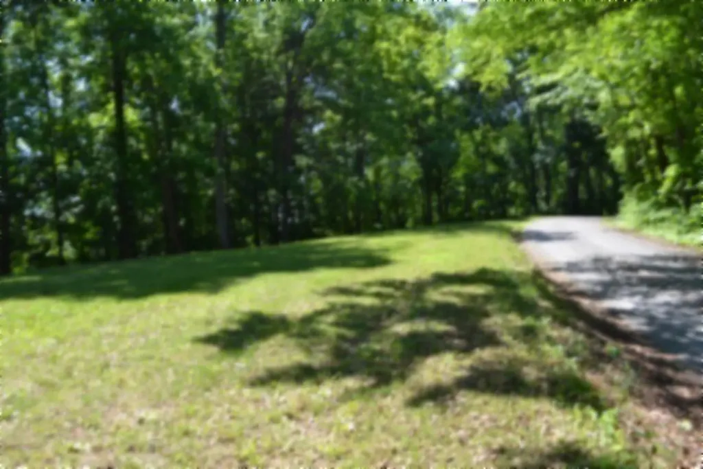 318 Rock Springs Road Celina TN 38551