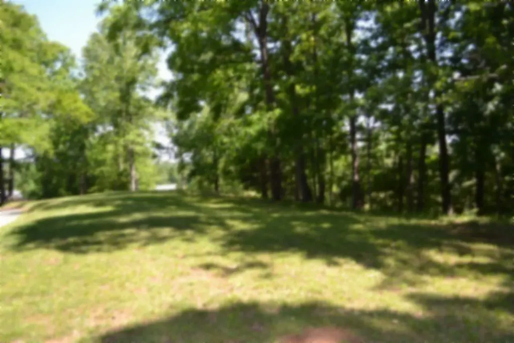 318 Rock Springs Road Celina TN 38551