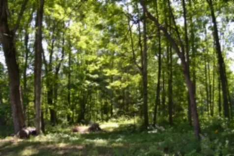 318 Rock Springs Road Celina TN 38551