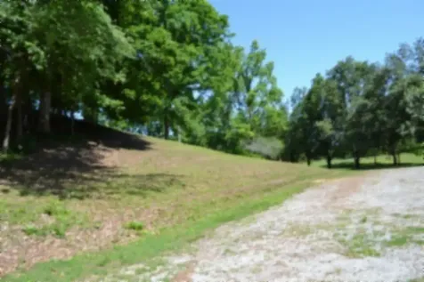 318 Rock Springs Road Celina TN 38551