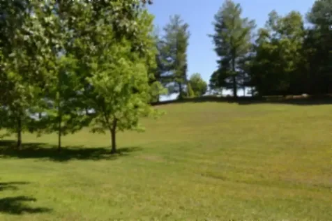 318 Rock Springs Road Celina TN 38551