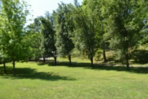 318 Rock Springs Road Celina TN 38551