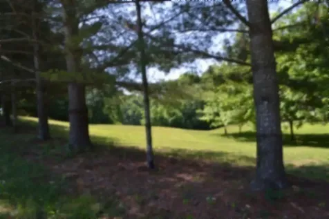 318 Rock Springs Road Celina TN 38551