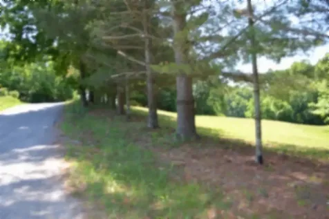 318 Rock Springs Road Celina TN 38551
