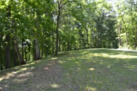318 Rock Springs Road Celina TN 38551