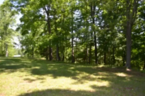 318 Rock Springs Road Celina TN 38551