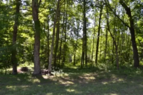318 Rock Springs Road Celina TN 38551