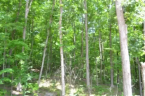 318 Rock Springs Road Celina TN 38551