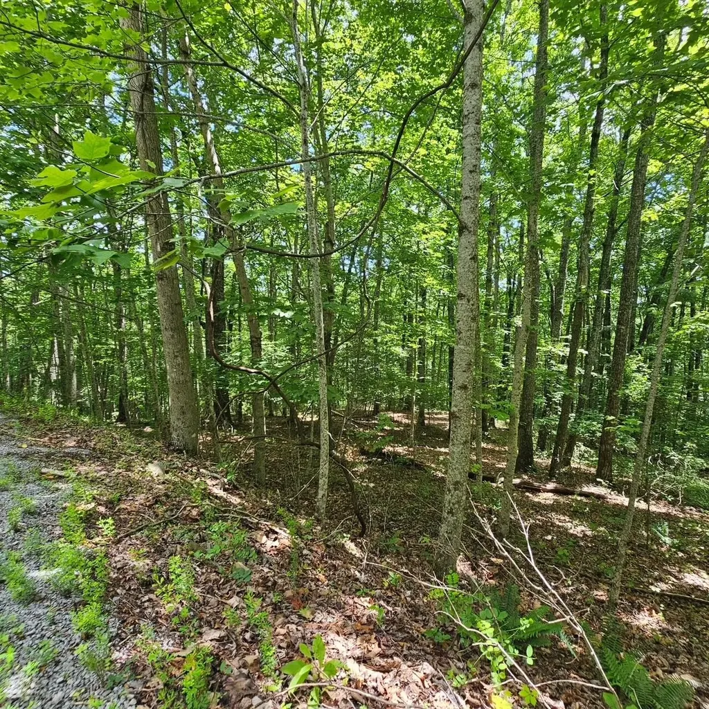 555 Oak Leaf Lane Dunlap TN 37327