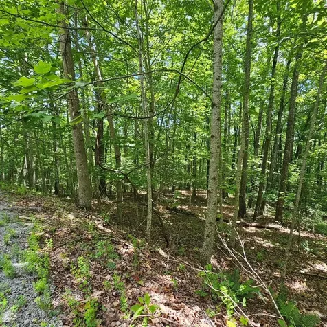 555 Oak Leaf Lane Dunlap TN 37327