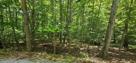 555 Oak Leaf Lane Dunlap TN 37327