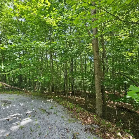 555 Oak Leaf Lane Dunlap TN 37327