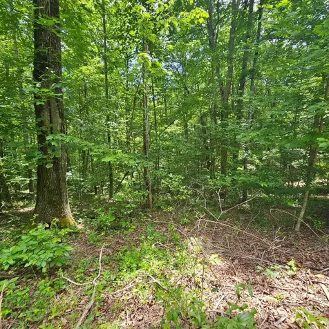 555 Oak Leaf Lane Dunlap TN 37327