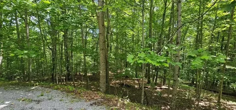 555 Oak Leaf Lane Dunlap TN 37327