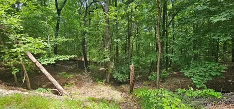555 Oak Leaf Lane Dunlap TN 37327