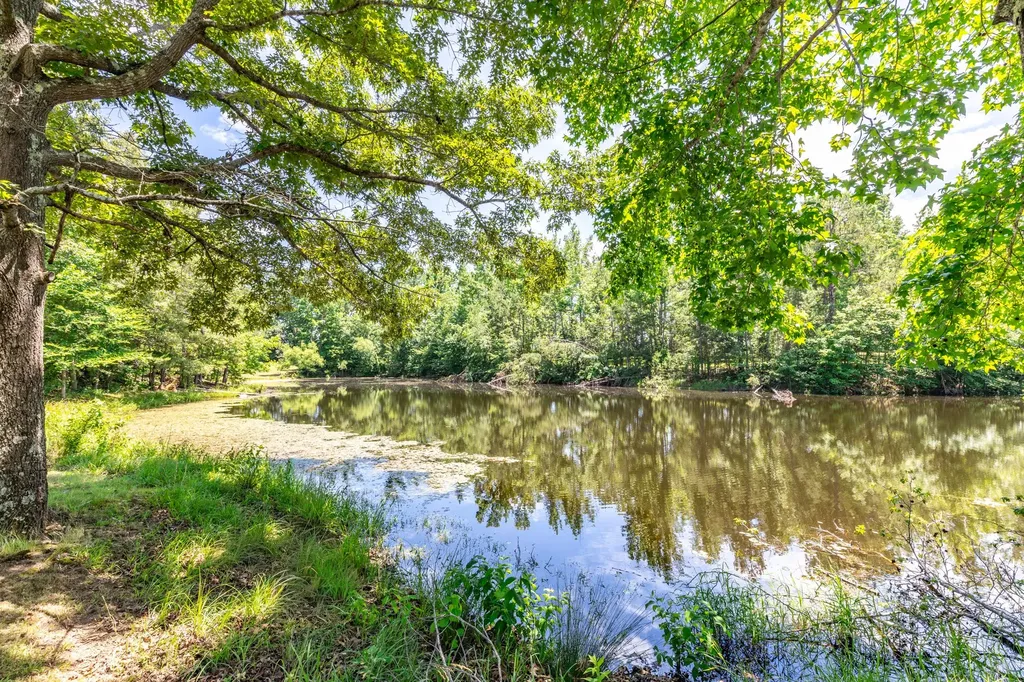424 Charles Mcclearen Road Hohenwald TN 38462