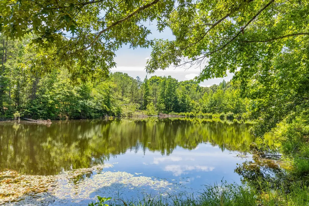 424 Charles Mcclearen Road Hohenwald TN 38462