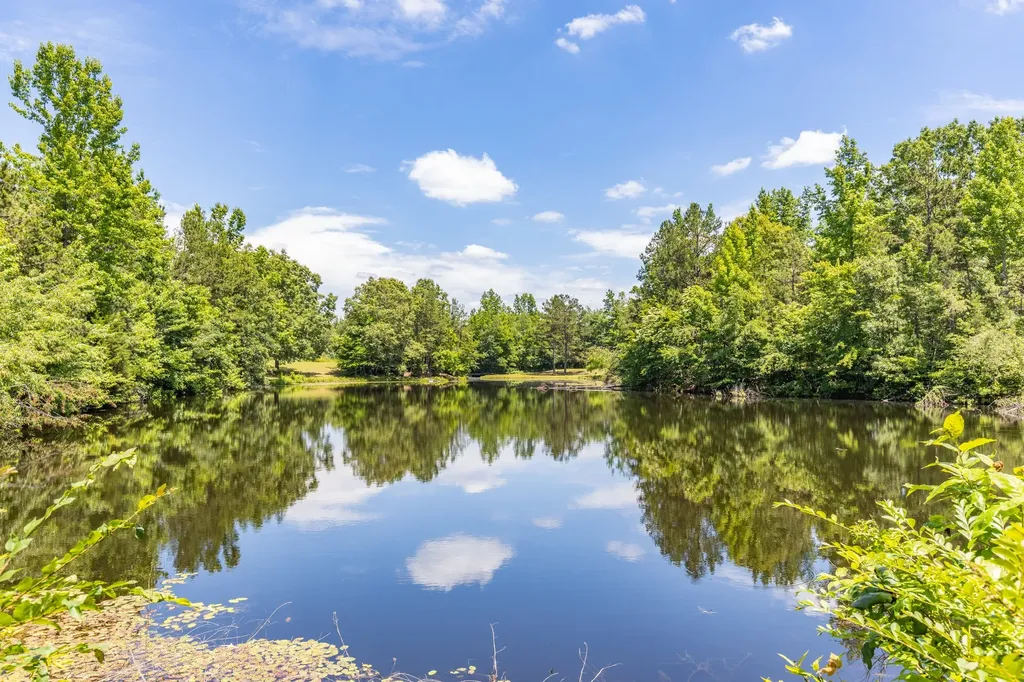 424 Charles Mcclearen Road Hohenwald TN 38462