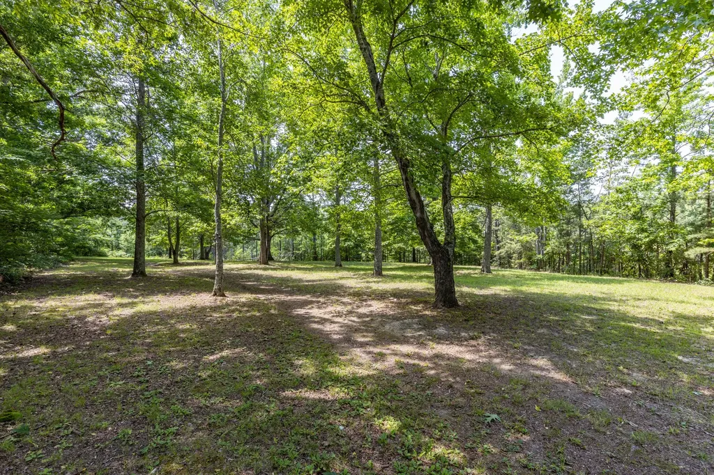424 Charles Mcclearen Road Hohenwald TN 38462
