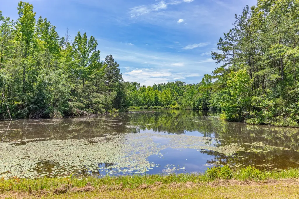 424 Charles Mcclearen Road Hohenwald TN 38462