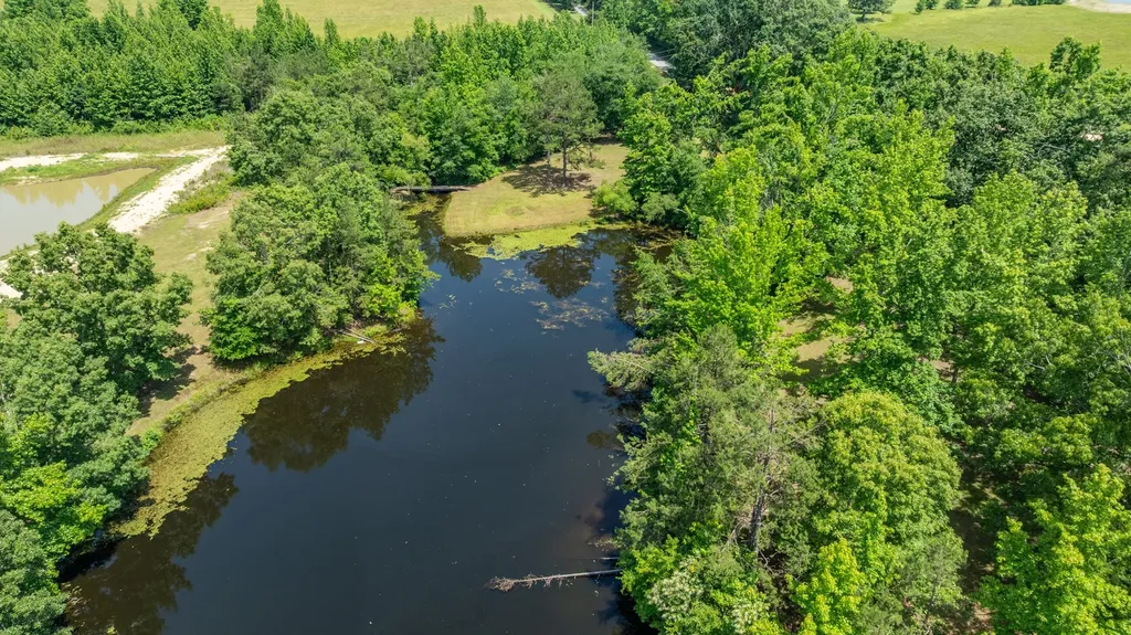 424 Charles Mcclearen Road Hohenwald TN 38462
