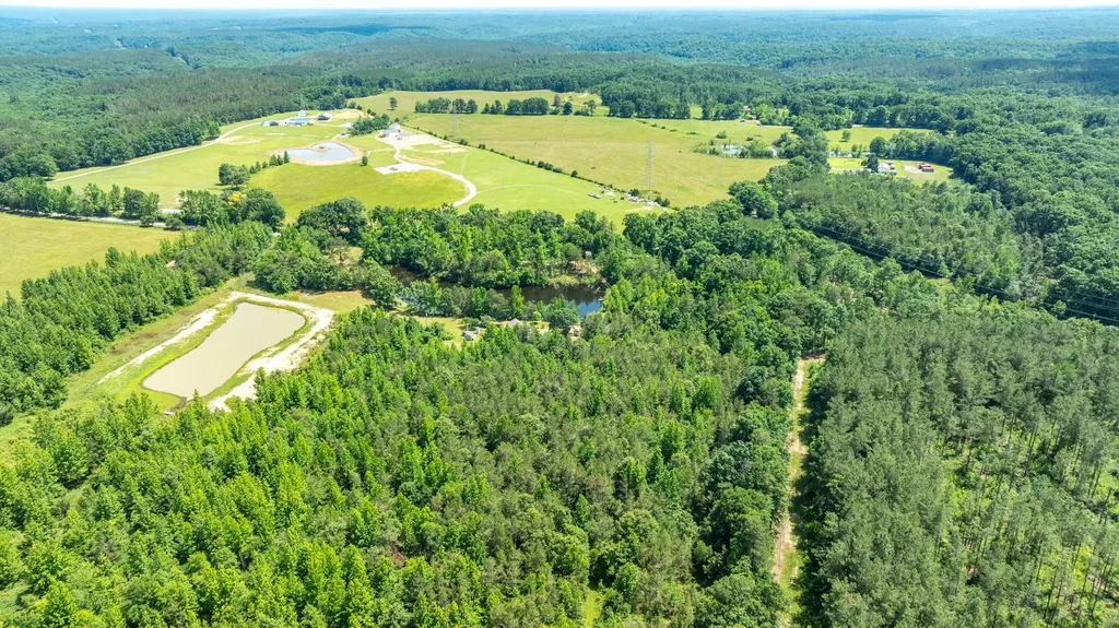 424 Charles Mcclearen Road Hohenwald TN 38462