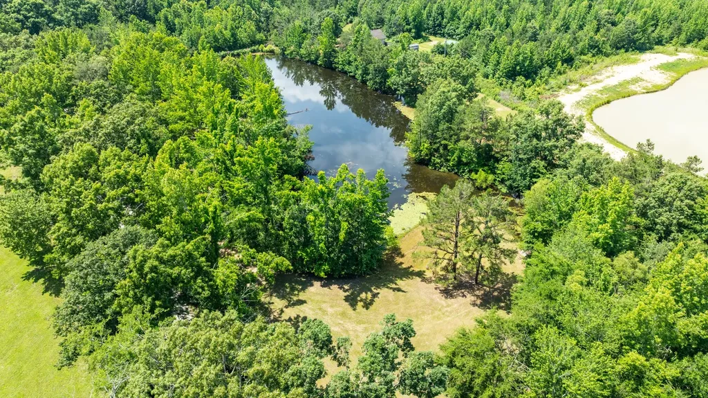 424 Charles Mcclearen Road Hohenwald TN 38462