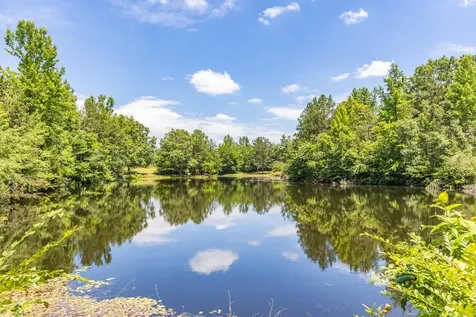 424 Charles Mcclearen Road Hohenwald TN 38462