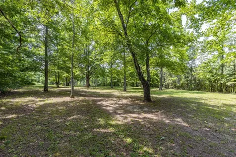 424 Charles Mcclearen Road Hohenwald TN 38462