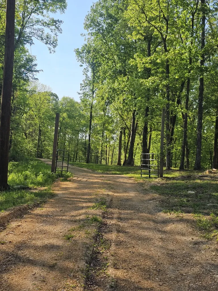 5 Island View Drive Bath Springs TN 38311
