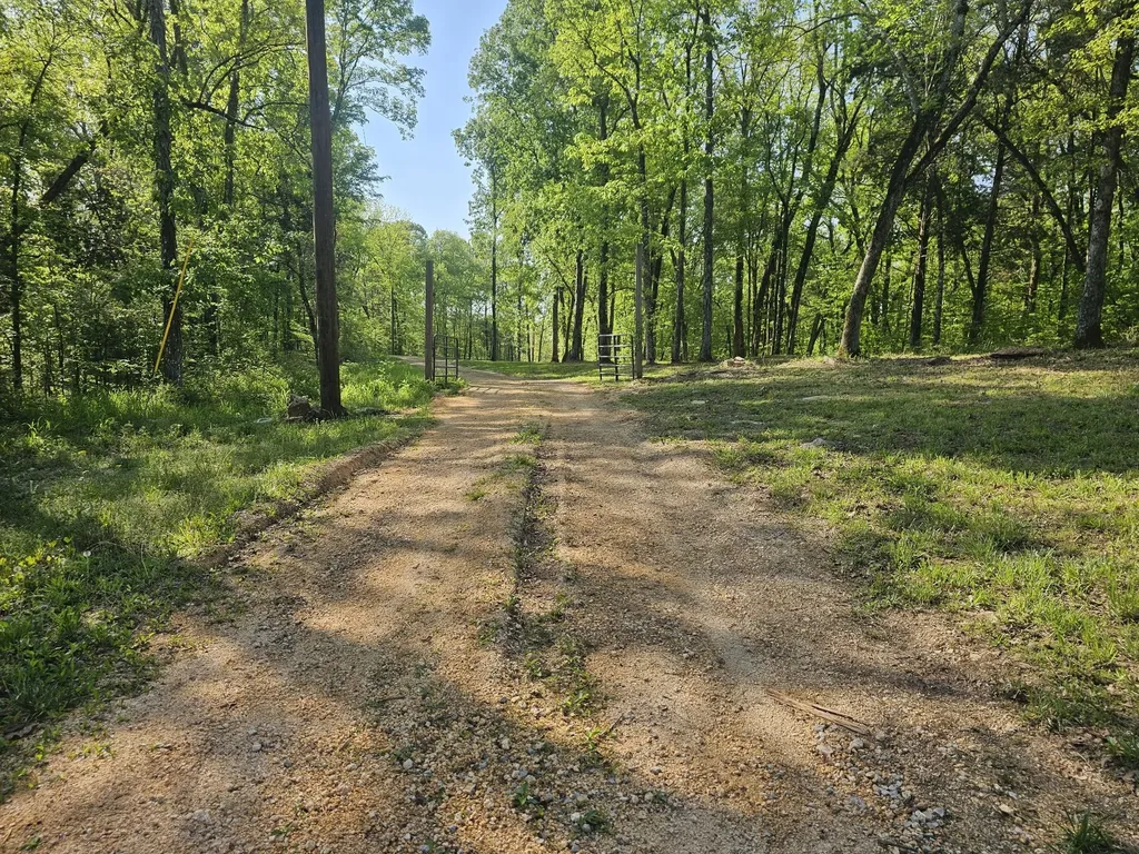 5 Island View Drive Bath Springs TN 38311