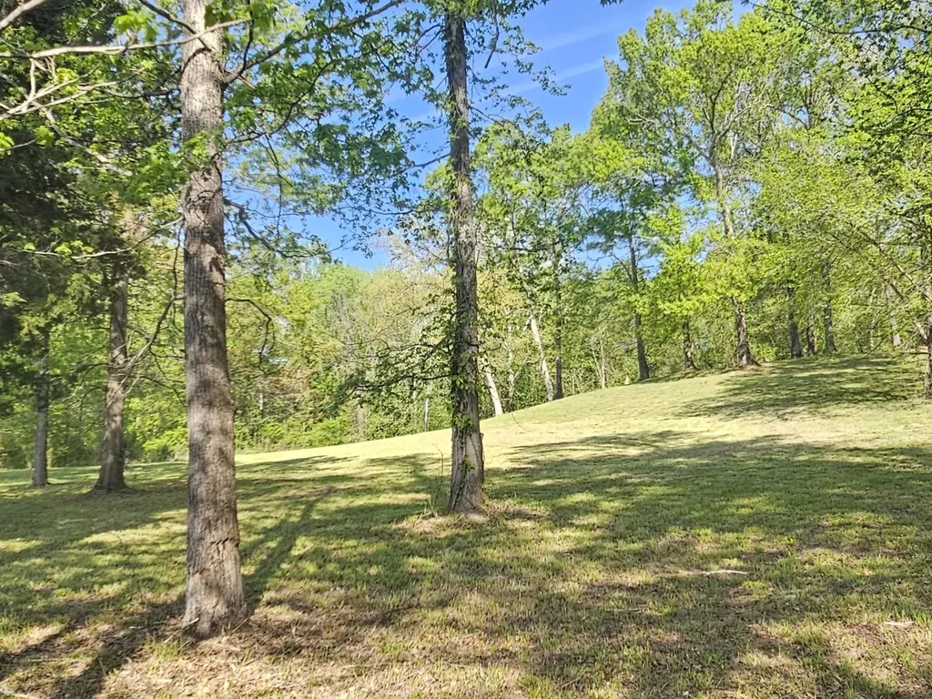 5 Island View Drive Bath Springs TN 38311